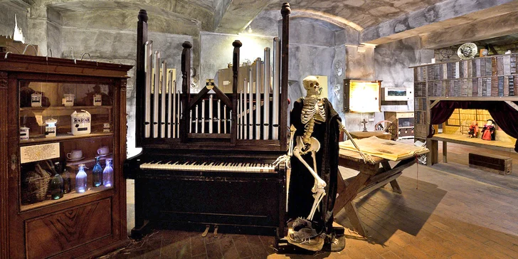 Muzeum je vybudované v podzemních prostorách, součástí je i sklep ze 12. století. 