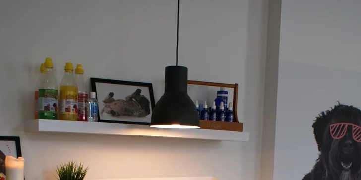 To nejlepší pro čtyřnohé kamarády: koupání, maska a úprava srsti v psích lázních