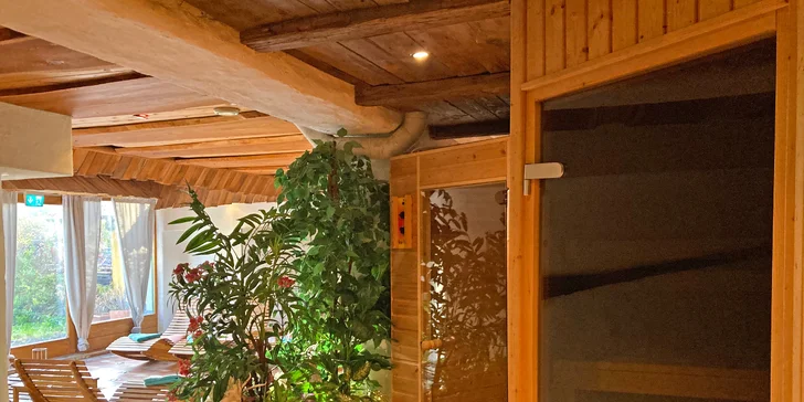 V cene máte neobmedzený vstup do wellness zóny.