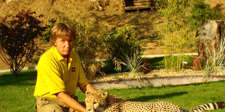 Poznejte rysy, oceloty a geparda zblízka: seznámení se šelmami nebo krmení
