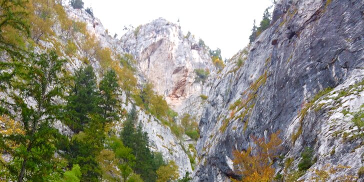 Přírodní krásy: Poznávací výlet do kaňonu Medvědí soutěska v Rakousku