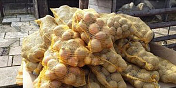 Samosběr brambor z celého nebo polovičního řádku či připravený 25kg pytel