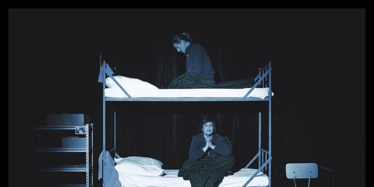 Vstupenka na divadelní představení Umřít smíchy