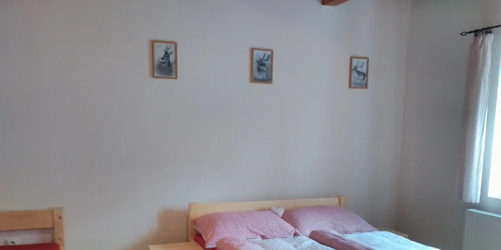 Podzimní pohoda: apartmán až pro 4 osoby kousek od Adršpašských skal