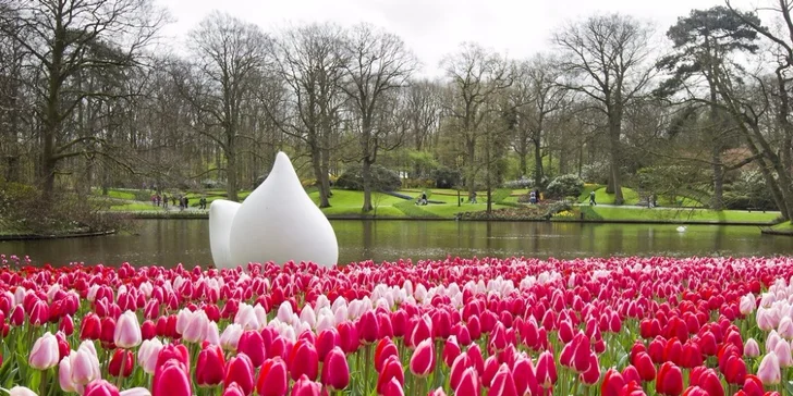 Holandsko na 1 noc: tulipány, sýry, Amsterdam a případné květinové korzo