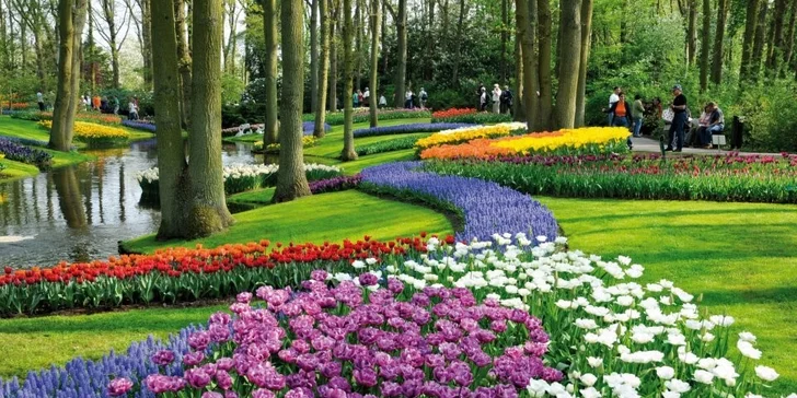 Holandsko na 1 noc: tulipány, sýry, Amsterdam a případné květinové korzo