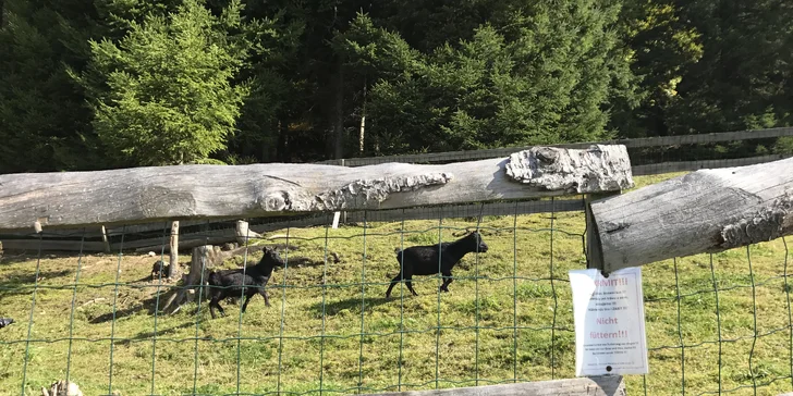 Jaro ve Špindlerově Mlýně: polopenze, krásné výhledy i výlety