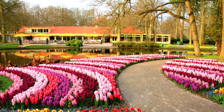 Holandsko na 1 noc: tulipány, sýry, Amsterdam a příp. květinové korzo