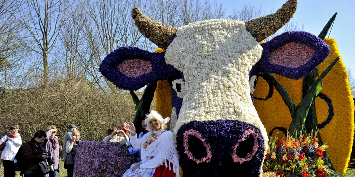 Holandsko na 1 noc: tulipány, sýry, Amsterdam a případné květinové korzo