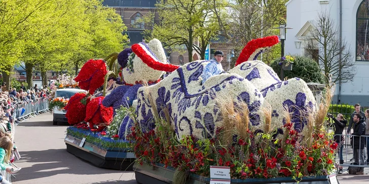 Holandsko na 1 noc: tulipány, sýry, Amsterdam a případné květinové korzo