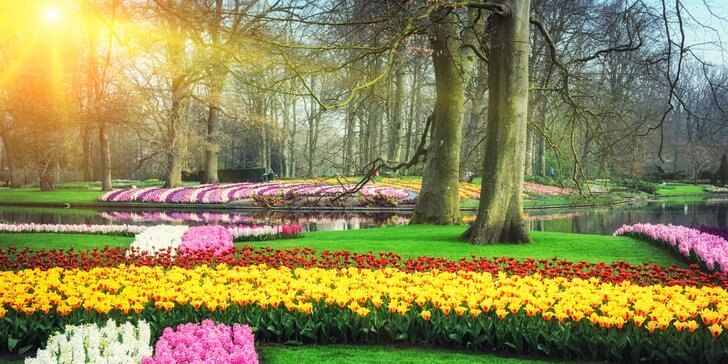 Holandsko na 1 noc: tulipány, sýry, Amsterdam a příp. květinové korzo