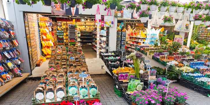 Holandsko na 1 noc: tulipány, sýry, Amsterdam a případné květinové korzo
