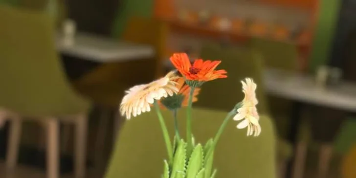 Libovolné horké pití s donutem nebo bagelem v kavárně ve stylu amerického animáku