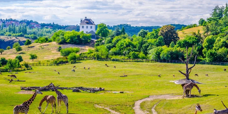 Pobyt přímo u Václaváku: snídaně, okružní jízda i grilování a vstupy