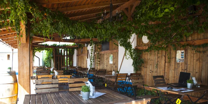 4* pobyt v Lednici s polopenzí, neomezeným vstupem do bazénu a pivní degustací