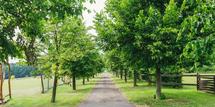 Zimní wellness pobyt v Lužických horách: polopenze, sauna, vířivka i sport