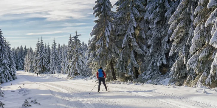 Třídenní relax na Šumavě: Ubytování se snídaní, turistika a památky