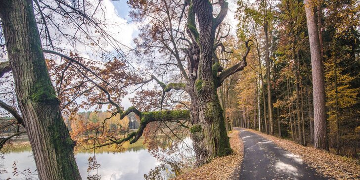 Objevte krásy jižních Čech: podzimní Třeboň, stravování i možnost masáže