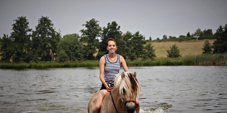 Vyjížďka na koních: jízdárna pečující o nechtěná a nemocná zvířata