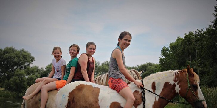 Vyjížďka na koních: jízdárna pečující o nechtěná a nemocná zvířata