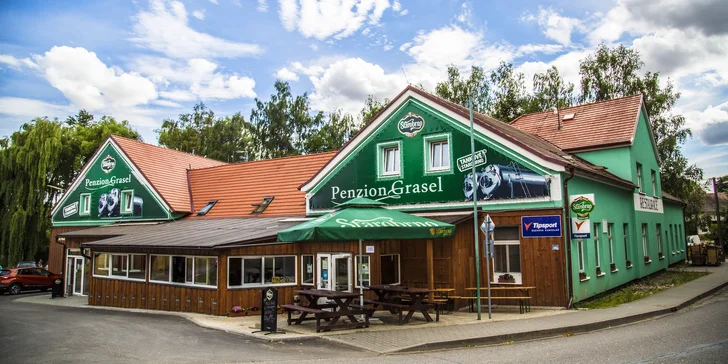Pobyt u Vranova se zvěřinovým menu, bazénem a vířivkou