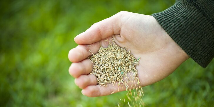 Staňte se odborníkem v dokonalé péči o trávník: Kurz sekání, zavlažování, hnojení
