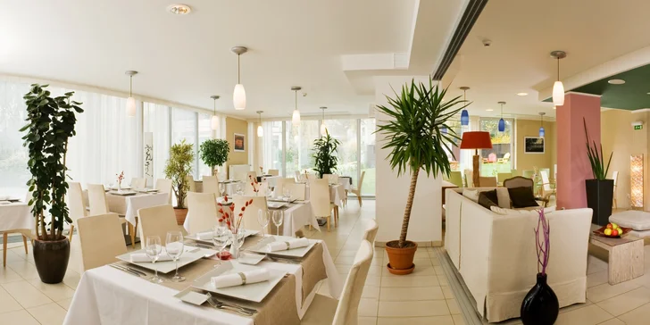Snídaně ve stylu all you can eat v hotelu Michael pro jednoho