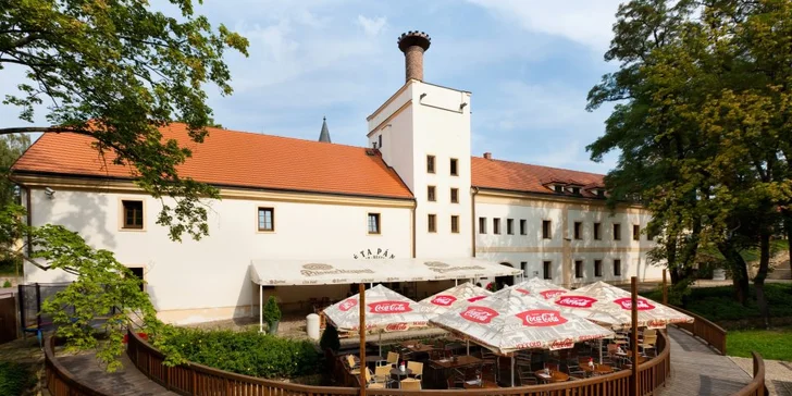Usedněte ke stolu: celá pečená kachna, zelí a knedlíky pro 4 osoby