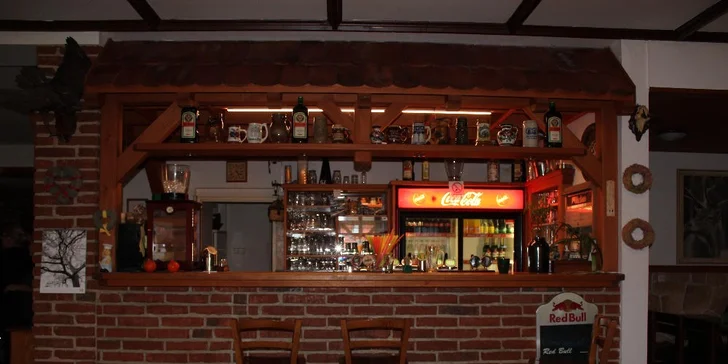 Poškmákněte si u Slapské přehrady: Naditý domácí burger s hranolky a nealkem