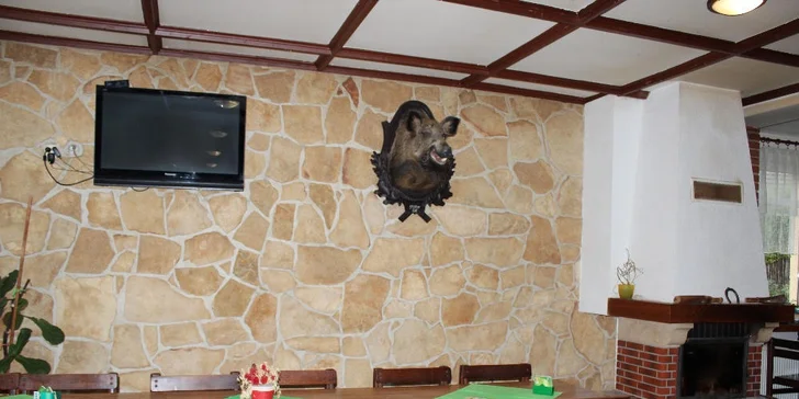 Poškmákněte si u Slapské přehrady: Naditý domácí burger s hranolky a nealkem