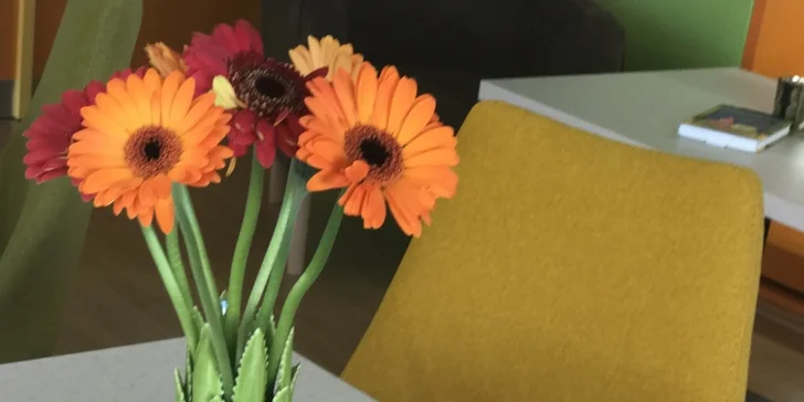 Libovolné horké pití s donutem nebo bagelem v kavárně ve stylu amerického animáku