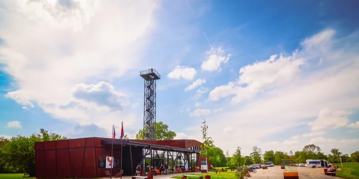 Tohle všechno na vás čeká v rodinném vinařství Bartoník v Mikulčicích.