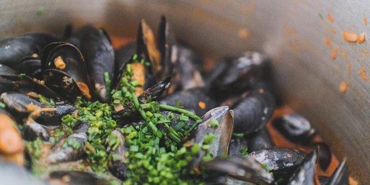 Valentýnská noc na vlnách Vltavy: all inclusive s fish & grill rautem a wellness