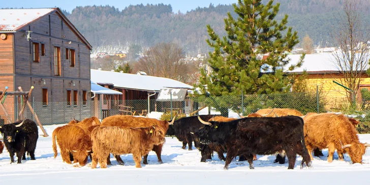 3denní relaxace s neomezeným vstupem do bazénu, vířivkou a polopenzí