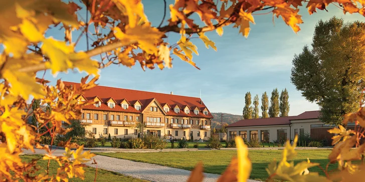 4* Silvestr ve dvou: Neomezené wellness, masáž a silvestrovský program