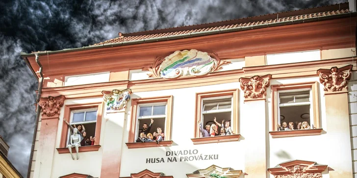 Mein Švejk