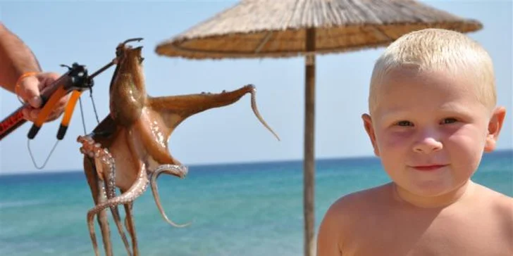 Co bude dnes k večeři?