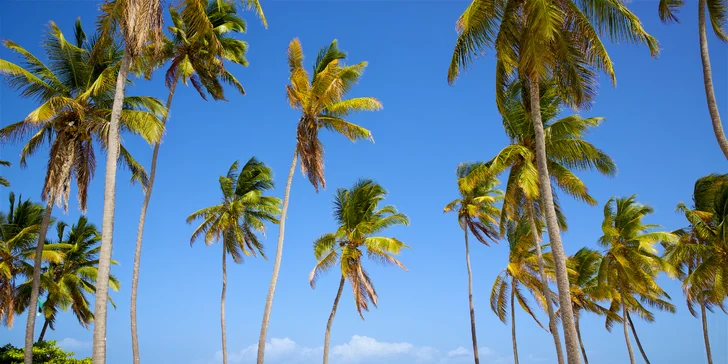 Exotický Zanzibar: plná penze, light inclusive nápoje a neskutečná pohoda