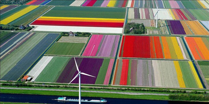 Letecky do Amsterdamu, za tulipány i větrnými mlýny: 3 noci v hotelu i průvodce