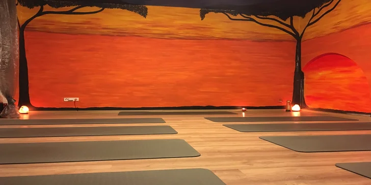 Dvě lekce jógy, pilates či meditace ve studiu YOGAPLANET