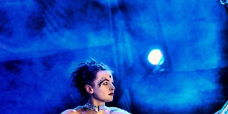Vstupenky na hudební představení do RockOpery, prvního divadla pro rockery