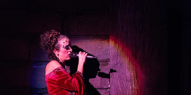 Vstupenky na hudební představení do RockOpery, prvního divadla pro rockery