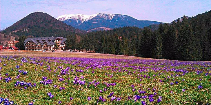 Je situovaný v príjemnom horskom prostredí s výhľadom na Nízke Tatry a Veľkú Fatru. 