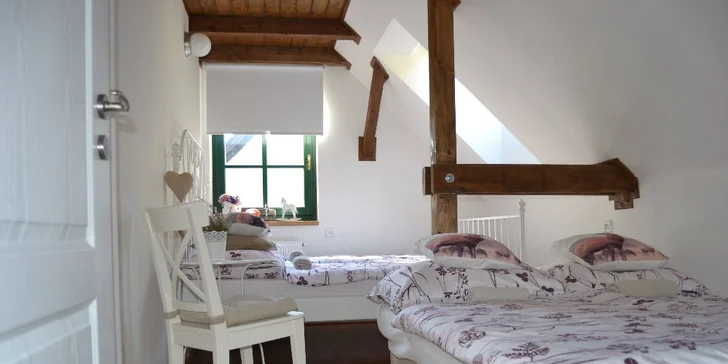 3–8 dní na úpatí Jizerek: apartmány pro partu i rodinu v penzionu s vinným sklípkem