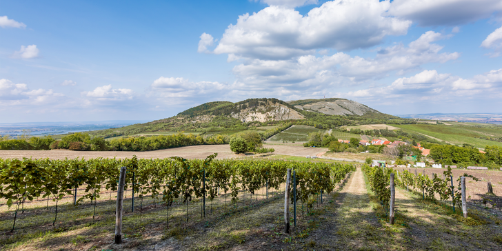 Oddech mezi vinicemi: turistický pobyt s ochutnávkou místních vín