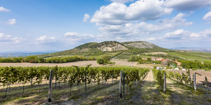 Vinařský pobyt s degustací na jižní Moravě: platnost na celou sezonu 2019