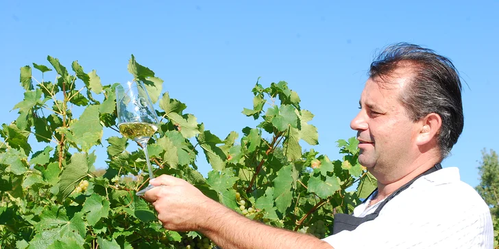 Pobyt v rodinném vinařství na Slovácku: famózní víno, degustace i wellness
