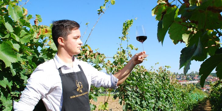 Víkend na Slovácku: výuka stříhání vinohradu, famózní víno i wellness pro dva
