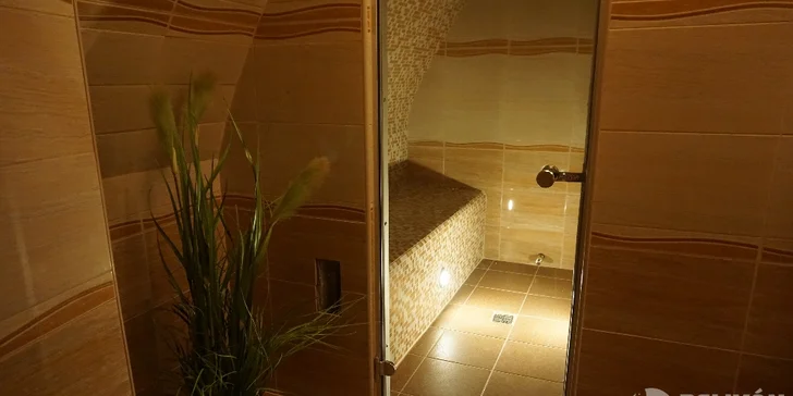 Relax poblíž Hluboké nad Vltavou: výlet lodí i varianty s parní saunou