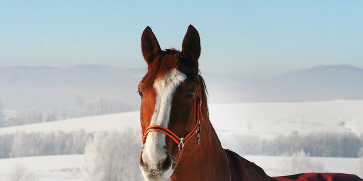 Zimní pohádka na koňské farmě: Pobyt s polopenzí i relaxem v lázních pro 2